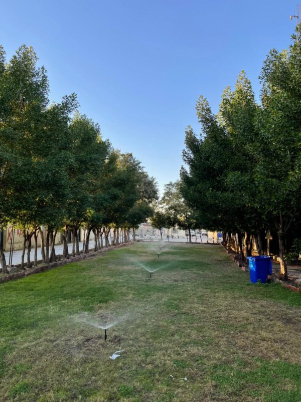 تنمية كندي (1)