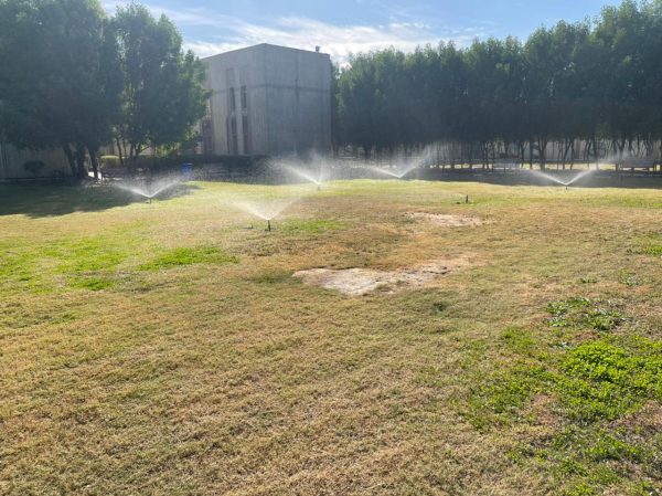 تنمية كندي (2)