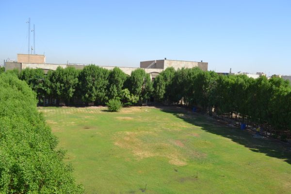 تنمية كندي (6)