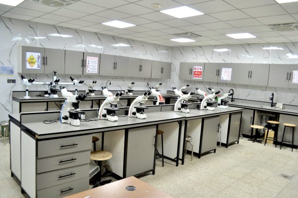 تنمية كندي (7)